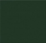 Teak &amp; Garden klapstoelkussen Groen 47 x 45 cm